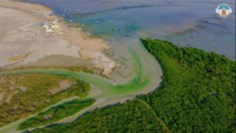 يوم البيئة الإقليمي تم إقراره منذ أكثر من 40 عامًا